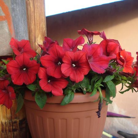 Agriturismo La Fattoria San Donato Val di Comino Kültér fotó