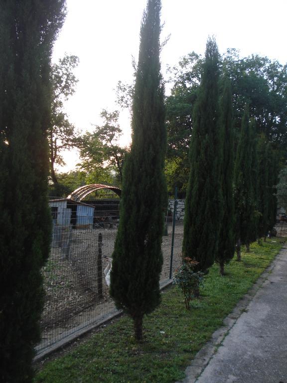 Agriturismo La Fattoria San Donato Val di Comino Kültér fotó