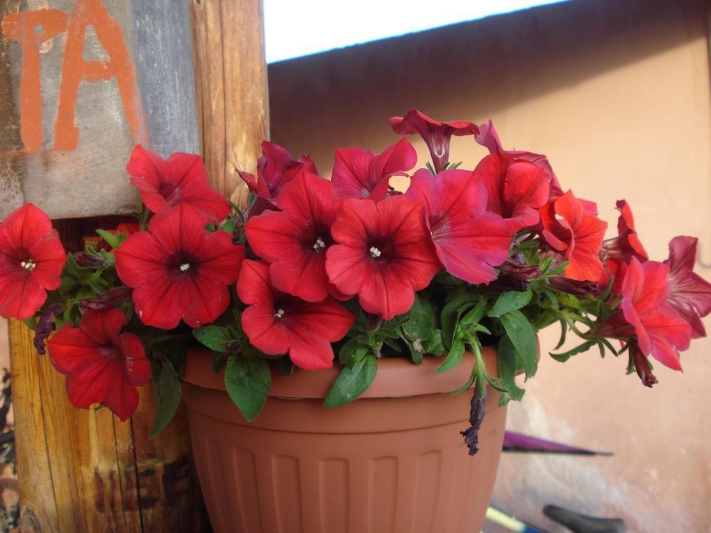 Agriturismo La Fattoria San Donato Val di Comino Kültér fotó