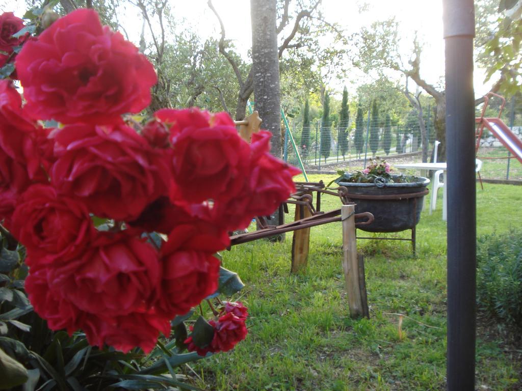 Agriturismo La Fattoria San Donato Val di Comino Kültér fotó